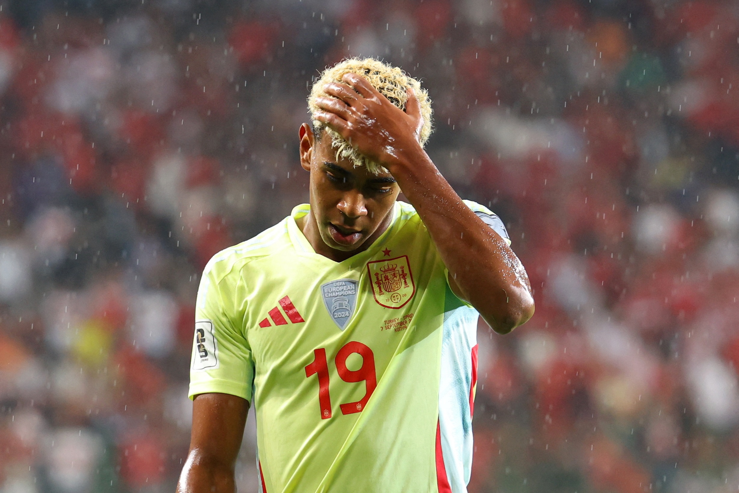 msn, yid, 一切迹象表 msn, yid, 一切迹象表